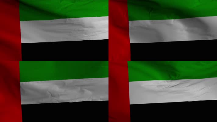 【4K】阿联酋国旗
