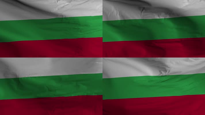 【4K】保加利亚国旗