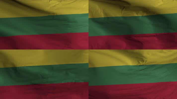 【4K】立陶宛国旗