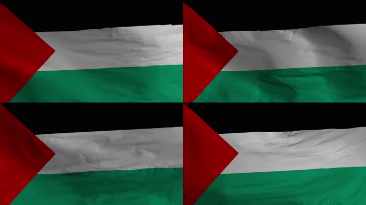 【4K】巴勒斯坦国旗