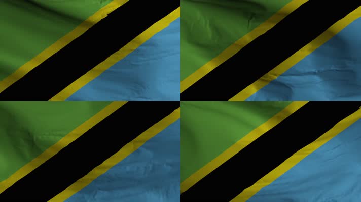 【4K】坦桑尼亚国旗