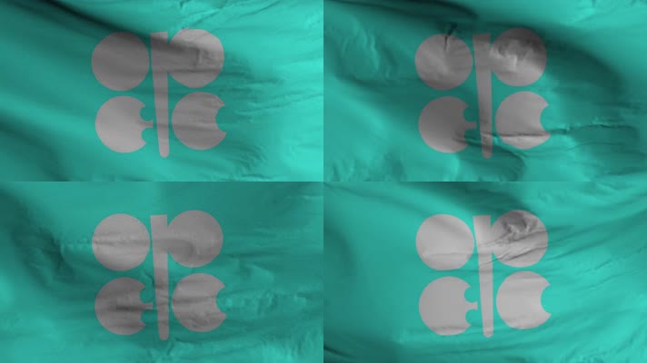 【4K】石油输出国组织旗帜