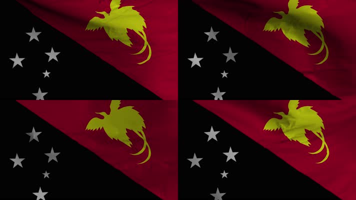 【4K】巴布亚新几内亚国旗