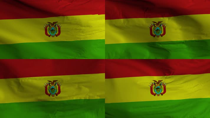 【4K】玻利维亚国旗