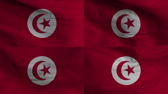 【4K】突尼斯国旗