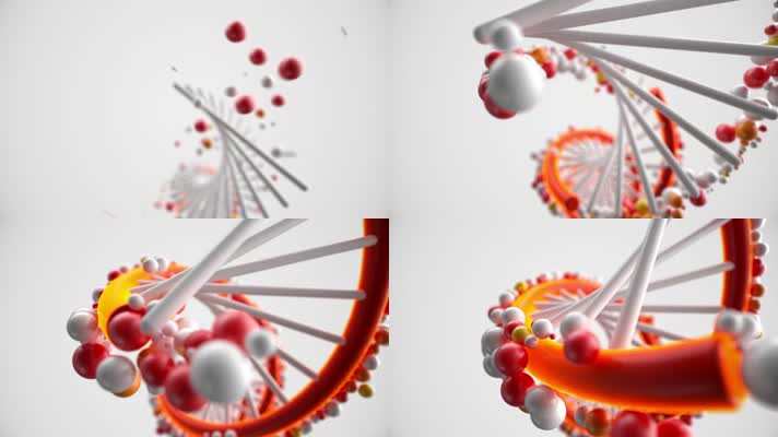 4K三维DNA基因序列视频