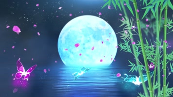 月亮蝴蝶夜晚背景循环