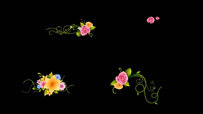花朵生长鲜花植物生长视频元素【内含21段视