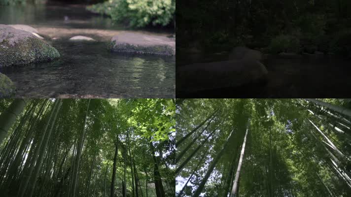 4K山间小溪水青竹林唯美绿色自然生态环境