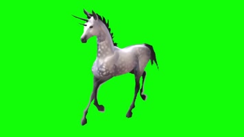 绿屏抠像视频素材独角兽马