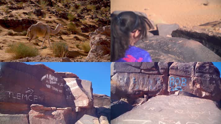 沙漠骆驼岩画文化遗址旅游宣传