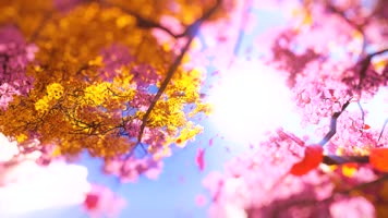 2K诗意阳光浪漫金秋落叶三维动画CG动画