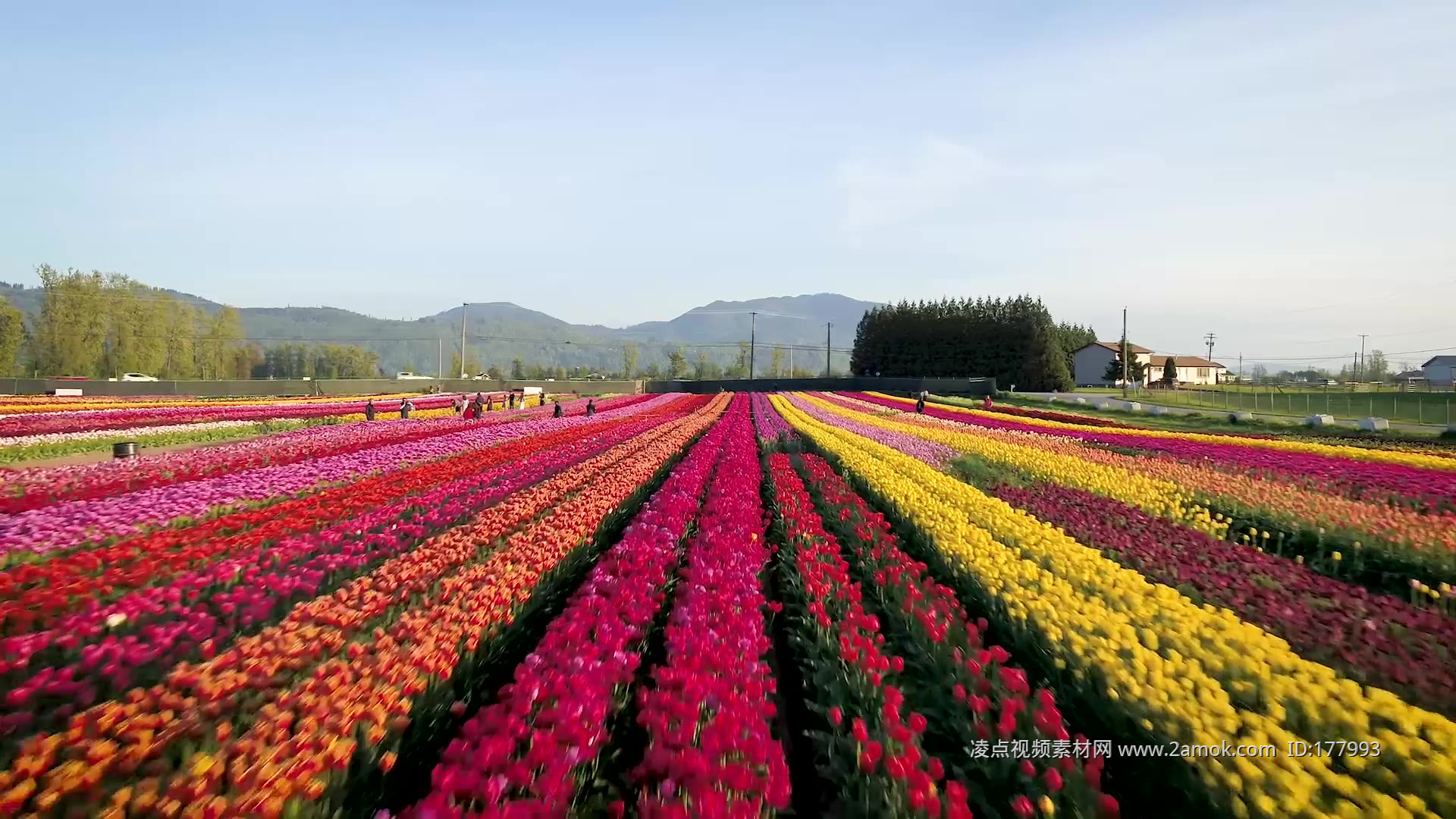 春绿-春天来了，到处都是绿茵茵的 - 中国摄影出版传媒有限责任公司