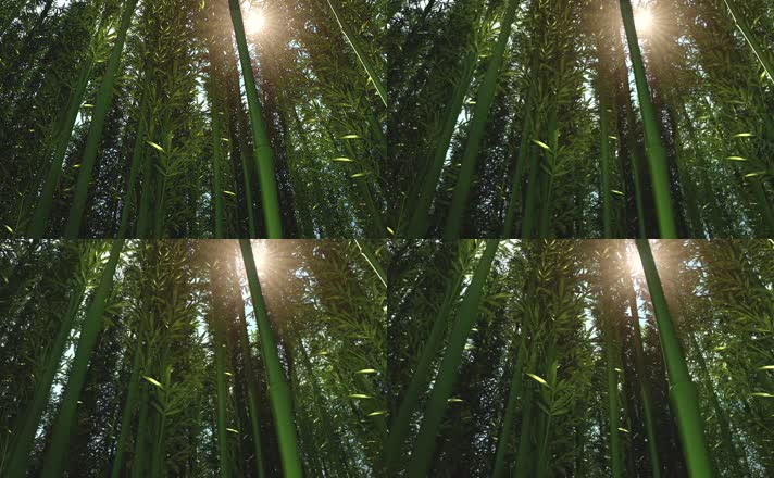 竹林阳光三维动画绿色大自然