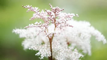 动感节奏快闪快切视频标志开场AE模板