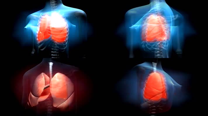 肺病3D人体动画医疗动画