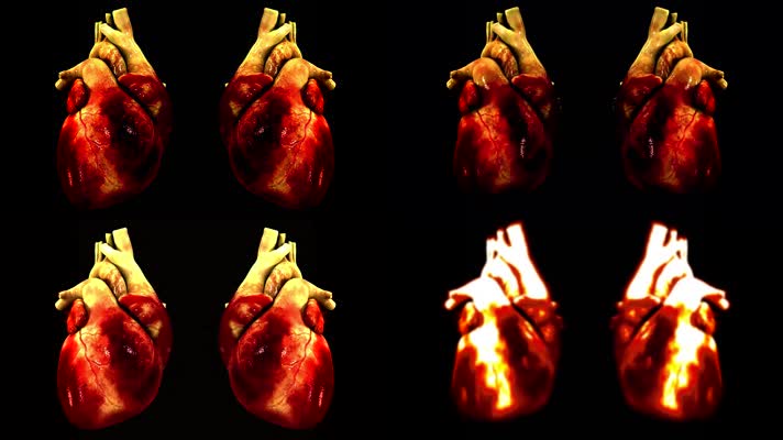 心脏跳动人体器官3D医疗机理动画