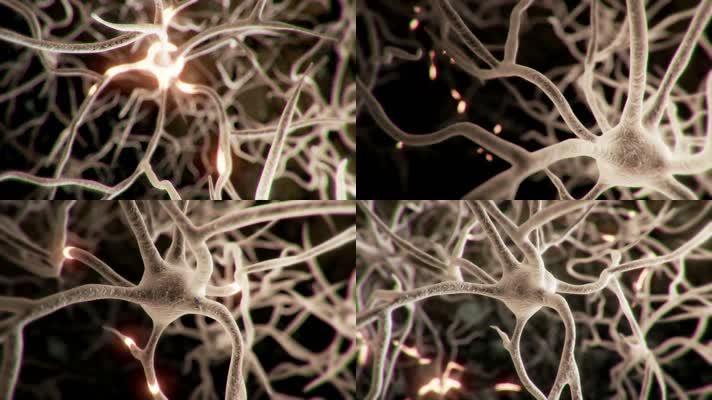 大脑神经元电信号传导肌理三维动画