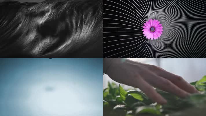 人类发展与大自然变迁精彩剪辑