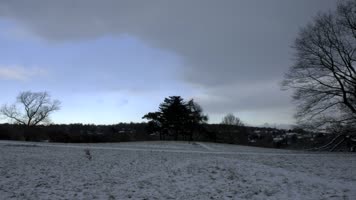 2K春夏秋冬四季自然风景秀