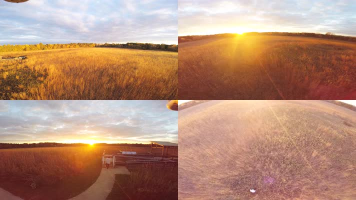 4K金秋季节草原阳光秋天风景自然风光