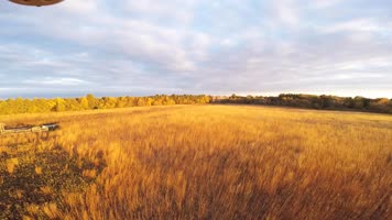 4K金秋季节草原阳光秋天风景自然风光