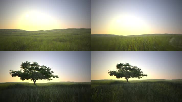 绿色大草原大树3D动画