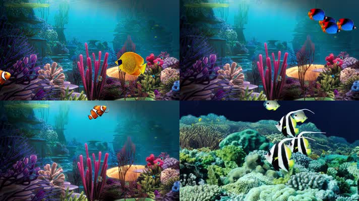 海底游鱼景观游鱼3D屏保动画视频素材
