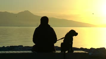 孤独 男人和狗 悲伤 流泪   孤独 男人和狗 悲伤 流泪