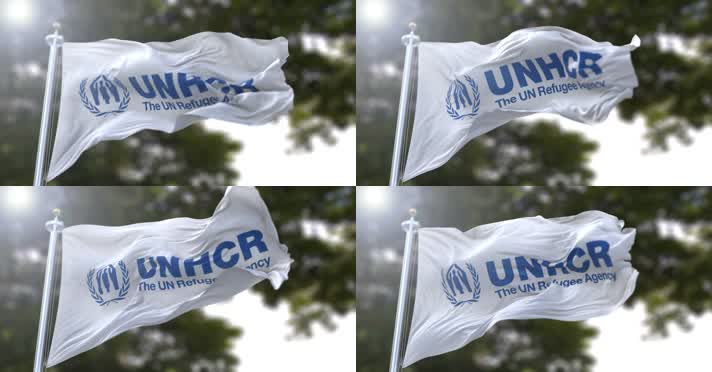 【4K】联合国难民事务高级专员公署旗帜B