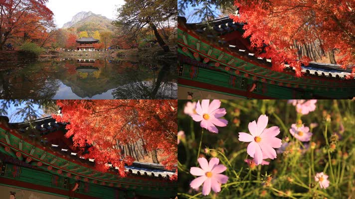 金秋季节风景宫殿古城墙古建筑遗址