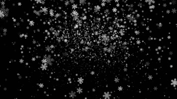 圣诞节雪花黑色背景