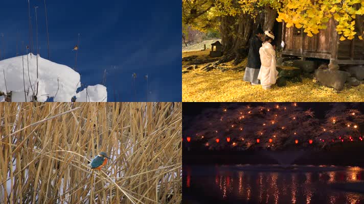 4K美丽大自然旅游宣传片素材 