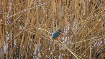 4K美丽大自然旅游宣传片素材 