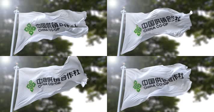 【4K】中华全国供销合作总社旗帜B