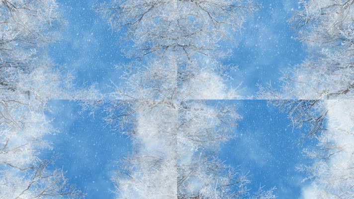 霜冻树枝和飘落的雪花
