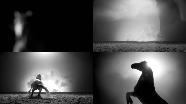 骏马奔腾千里马良驹野马烈马奔腾撒欢