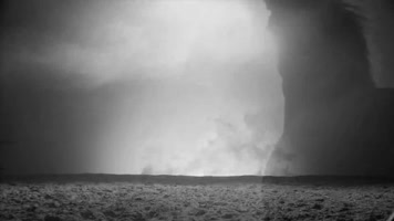 骏马奔腾千里马良驹野马烈马奔腾撒欢 骏马奔腾千里马良驹野马烈马奔腾撒欢