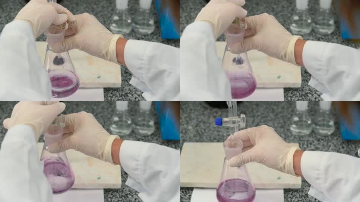 实验 检测 化学细菌 培养  