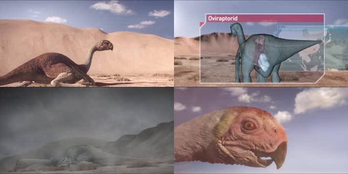 巨盗龙保护巢穴