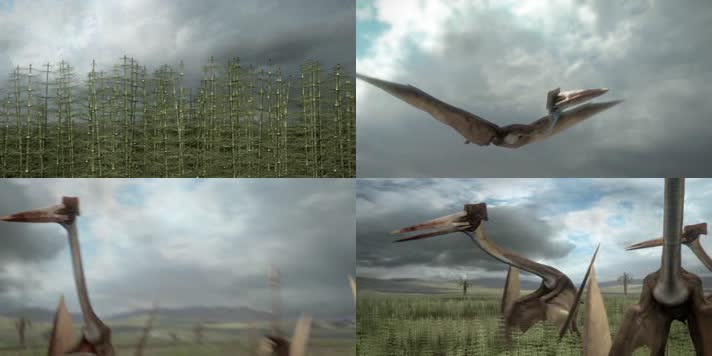 哈特兹哥翼龙争食