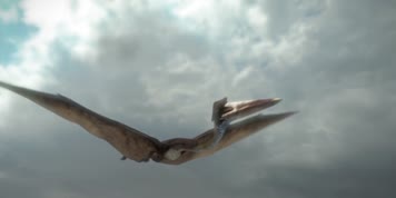 哈特兹哥翼龙争食