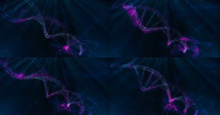 4K紫色DNA背景视频 
