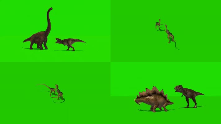 绿幕视频素材战斗的恐龙