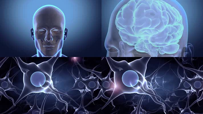 大脑神经元医学3D动画