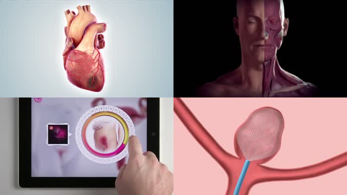 人体器官三维动画医学3D动画