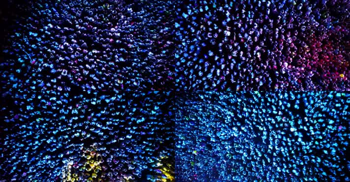 密集人群灯光照射鸟瞰