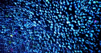 密集人群灯光照射鸟瞰