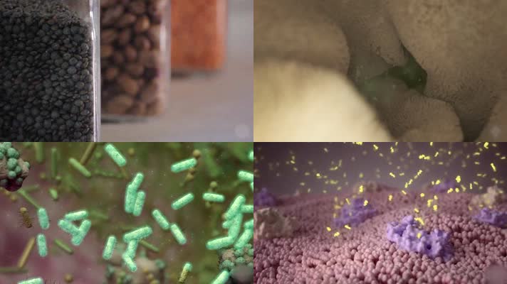细菌病毒霉菌肿瘤癌症细胞消化系统医学动画 细菌病毒霉菌肿瘤癌症细胞消化系统医学动画