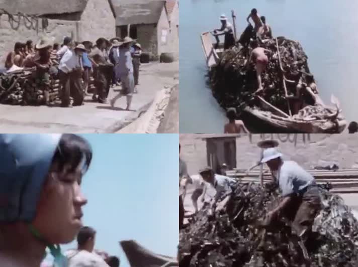 70年代人民公社时期海岸渔村渔业生产